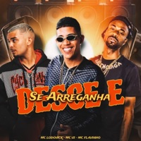 Desce e Se Arreganha - Single - Mc Lodovick, MC V2 & MC Flavinho