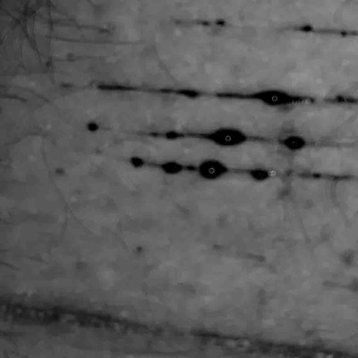 3Am Thoughts - Single