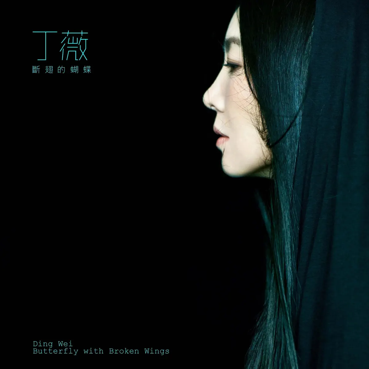 丁薇 - 断翅的蝴蝶 (1995) [iTunes Plus AAC M4A]-新房子
