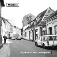 Mejlgade (feat. JGreen & Iver Kolbjørn) - Single - The Radical Beat Underground