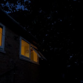 Tumour, Part Two (feat. lil Skele, Jolst & Splashgvng) sendflowrs