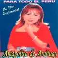CORAZON DE PIEDRA
