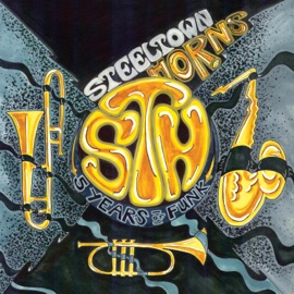 Shine (feat. Big Jus & Sierra Sellers) Steeltown Horns