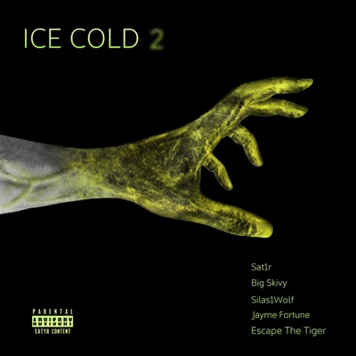 Ice Cold 2 (feat. Big Skivy & Silas1Wolf) - Single
