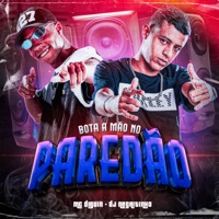 Bota a Mão no Paredão (feat. MC Diguin) - Single - DJ Negritinho
