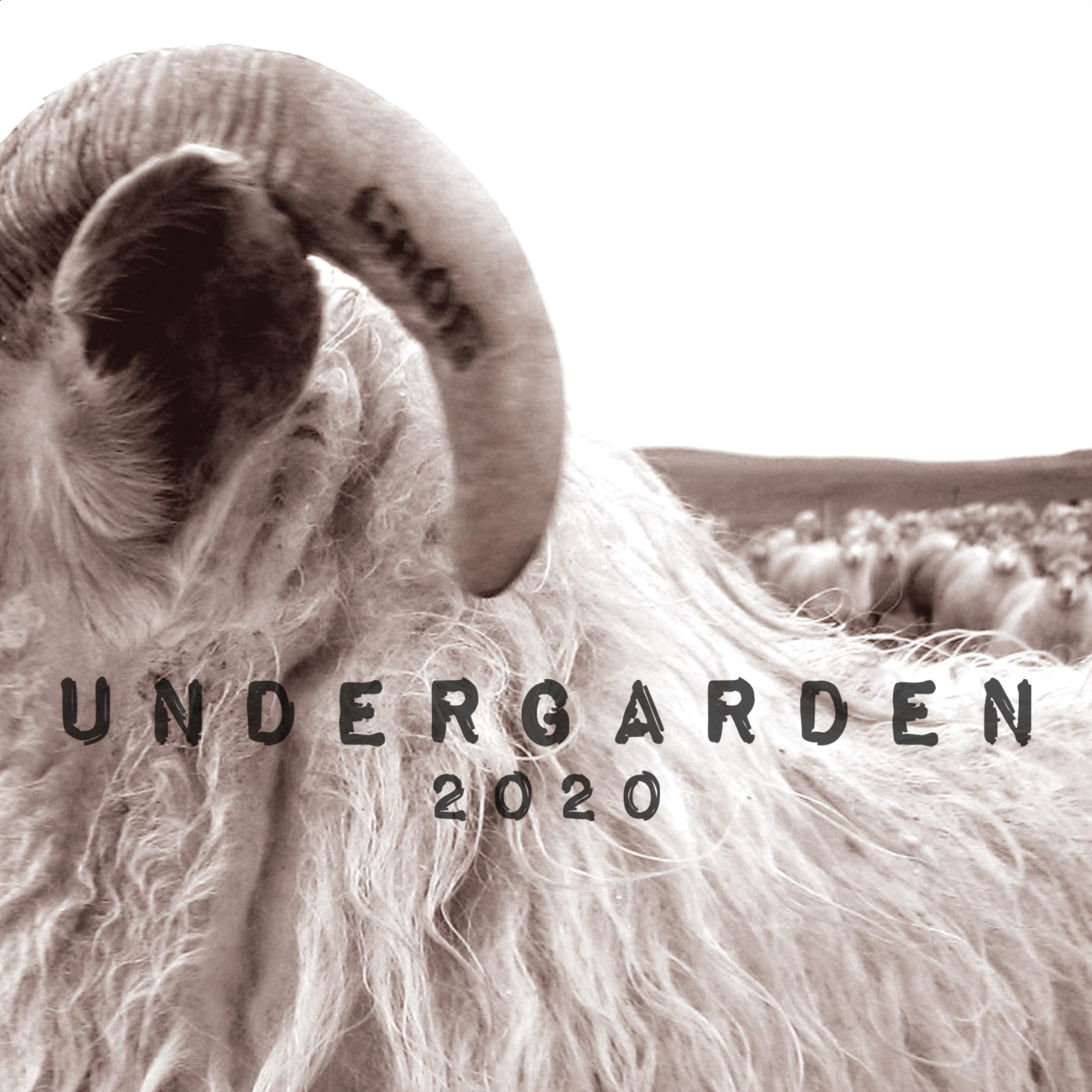 Undergarden 2020