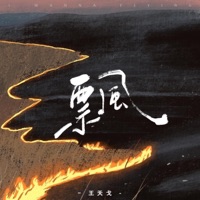 飘 - Single - 王天戈