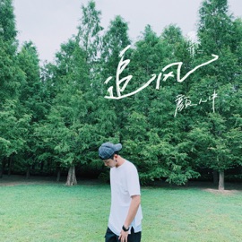 追风 Ele Yan