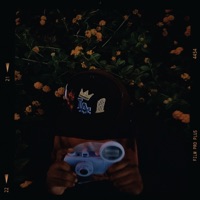 Love is Weird - EP - boyfromthaie