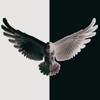 SPIRIT OF THE HAWK! - Lowkea