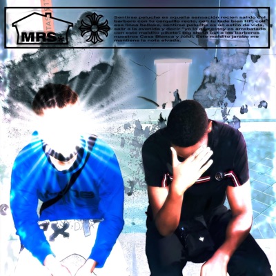 #MePasoElAbejon - Single