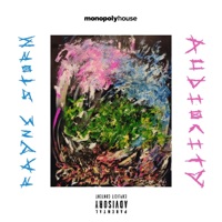 Audiocity - Rayne Storm