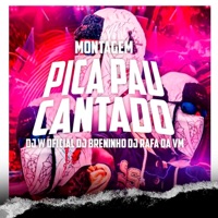 PICA PAU CANTADO (MONTAGEM) - Single - Djwoficial