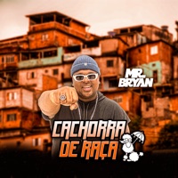 Cachorra de Raça - Single - Mr Bryan
