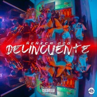 Delincuente (feat. El De La S) - Single - Ñeñeca 220