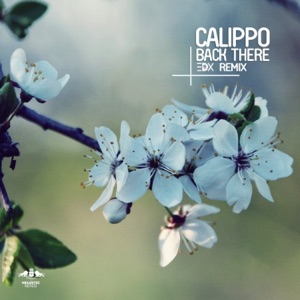 Back There (EDX Remixes) - Single