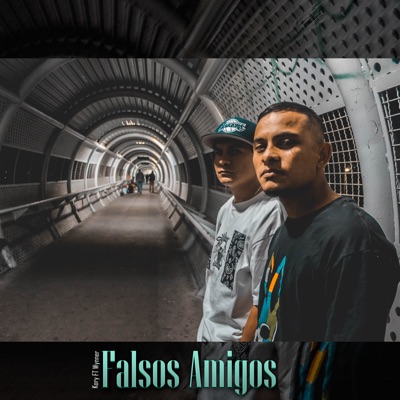 Falsos Amigos (feat. Wynner) - Single