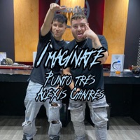 IMAGINATE (feat. ALEXIS CHAIRES) - Single - Punto Tres