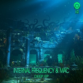 Knockin (Tik&Borrow Remix) Internal Frequency & MAC