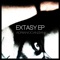 EXTASY (Millimetric Remix) - Adriano Canzian lyrics