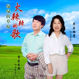 绿绿的草原火辣辣的歌 (舞曲版) 音乐走廊 & 草原雄鹰