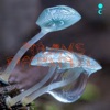 Digeridoo cover art