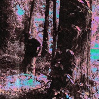 Brain Fog - Single - Ri6t