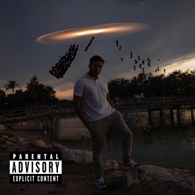 Desaparecer - Single