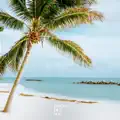 White Sands
