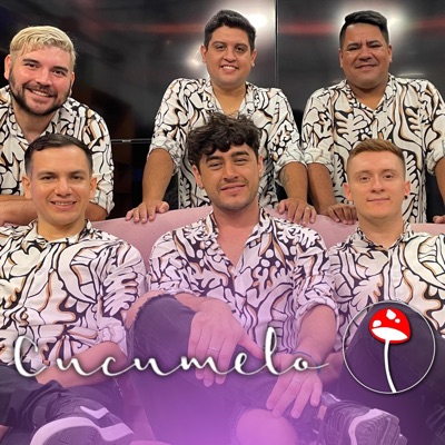 Perfecta - Single