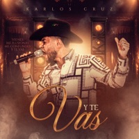 Y Te Vas - Single - Karlos Cruz