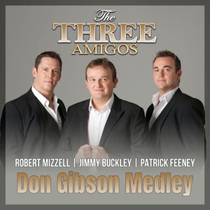 Don Gibson Medley - Single