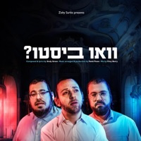 Vee Bisti (feat. Motti Weisel - מוטי ויזל & Shaya Gross - שייע גראס) - Single - Sruly Green