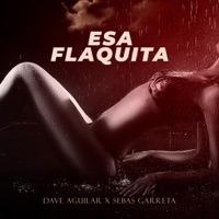 Esa Flaquita - Single - Sebas Garreta & Dj Dave Aguilar