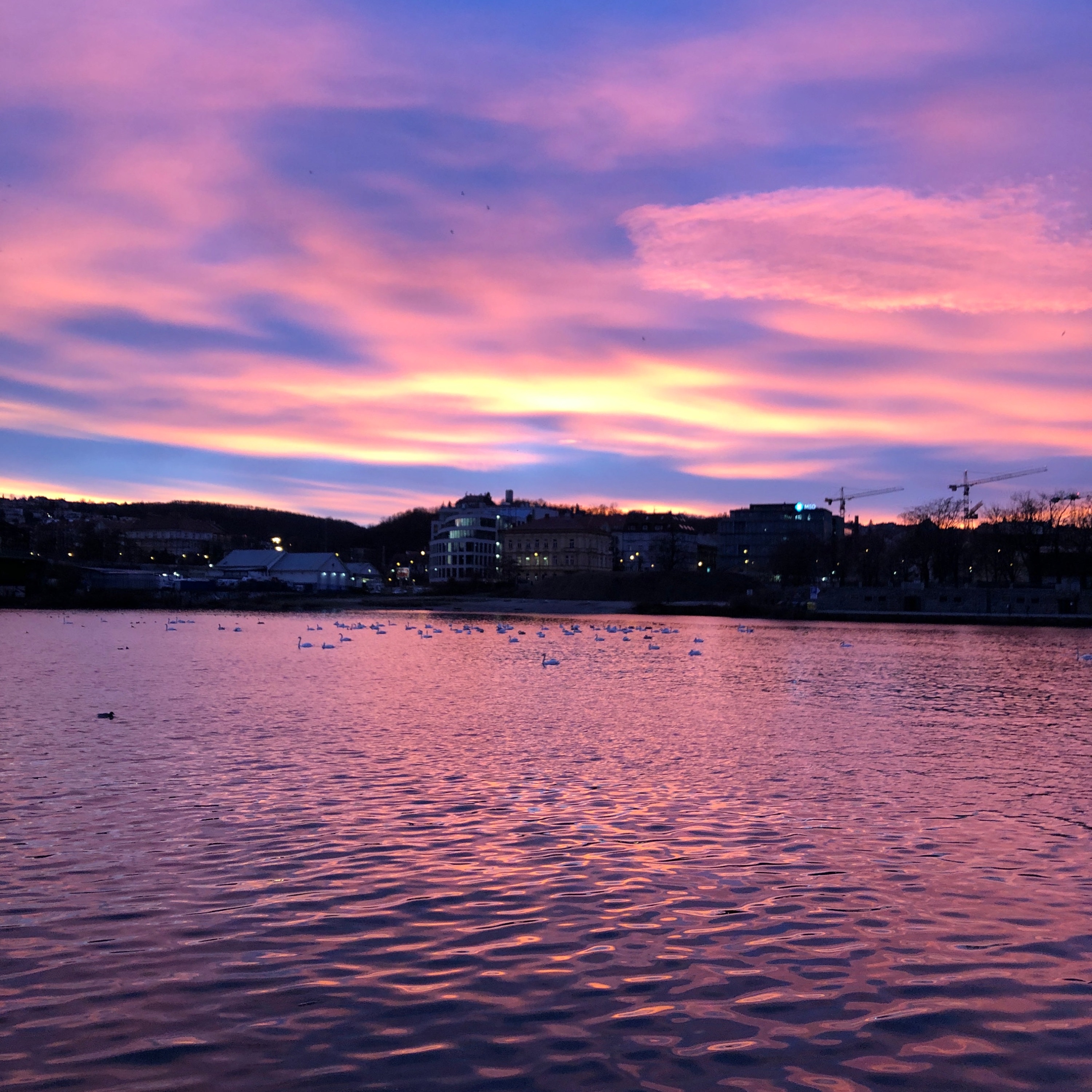 Night Drive 05 - Single