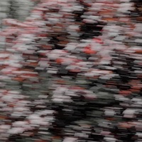 Hd// - Single - Real Deal