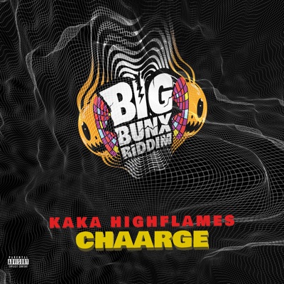 Chaarge - Single