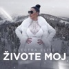 Živote moj