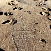Words of Wisdom - Single - Cliff Brown