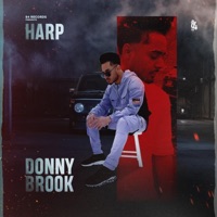 DONNYBROOK - Single - Harp Multani