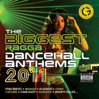 The Biggest Ragga Dancehall Anthems 2011 - Verschiedene Interpret:innen