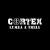 Lumea a treia (Instrumental) - Single