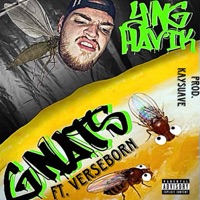 Gnats (feat. VerseBorn) - Single - YNG Havik