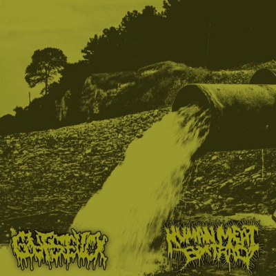 GUTSFUCK - Organ Dealer