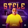 Stele (feat. MEGADRUMZ) - Single