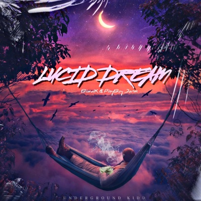 Lucid Dream