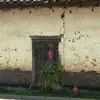 Verte más