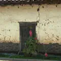 Verte más