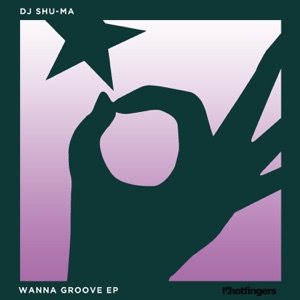 Wanna Groove - Single
