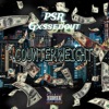 Counterweight - Single